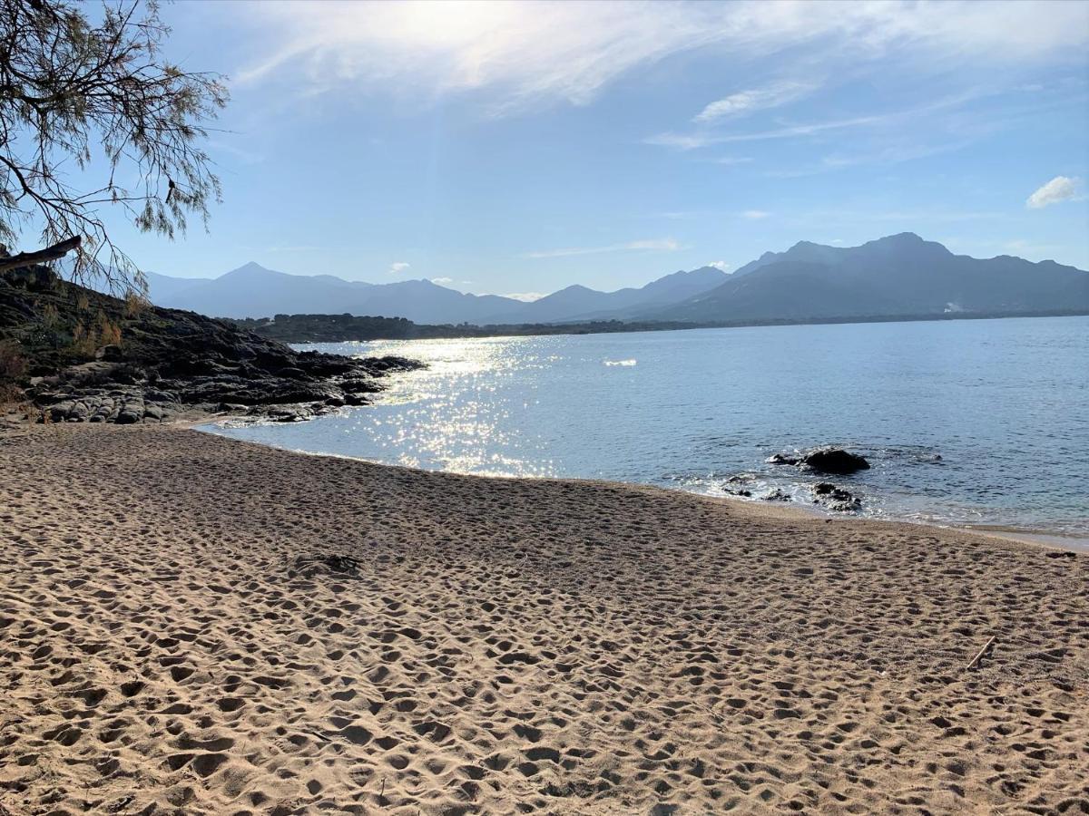 Camping Monte Ortu By Corsica Paradise Hotel Lumio  Buitenkant foto
